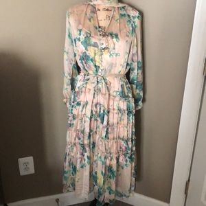 Gorgeous dress and slip combo